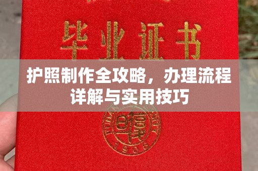 隆德护照制作全攻略，办理流程详解与实用技巧
