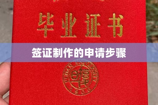 隆德签证制作的申请步骤