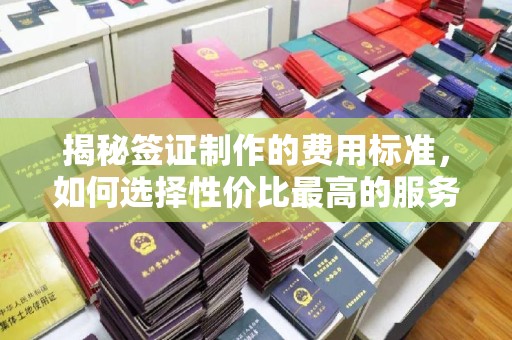隆德揭秘签证制作的费用标准，如何选择性价比最高的服务？