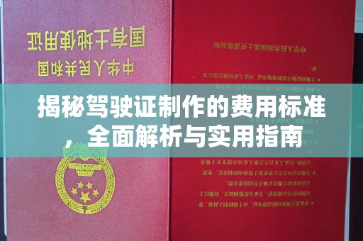 隆德揭秘驾驶证制作的费用标准，全面解析与实用指南