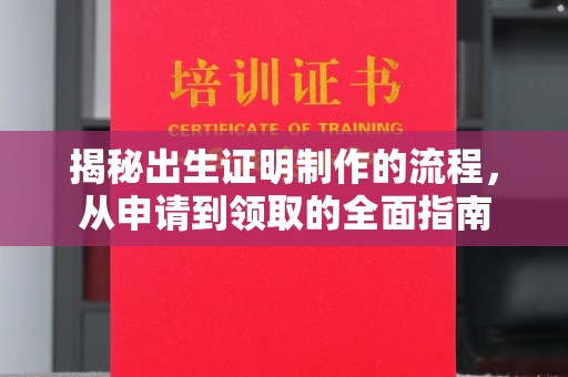 隆德揭秘出生证明制作的流程，从申请到领取的全面指南